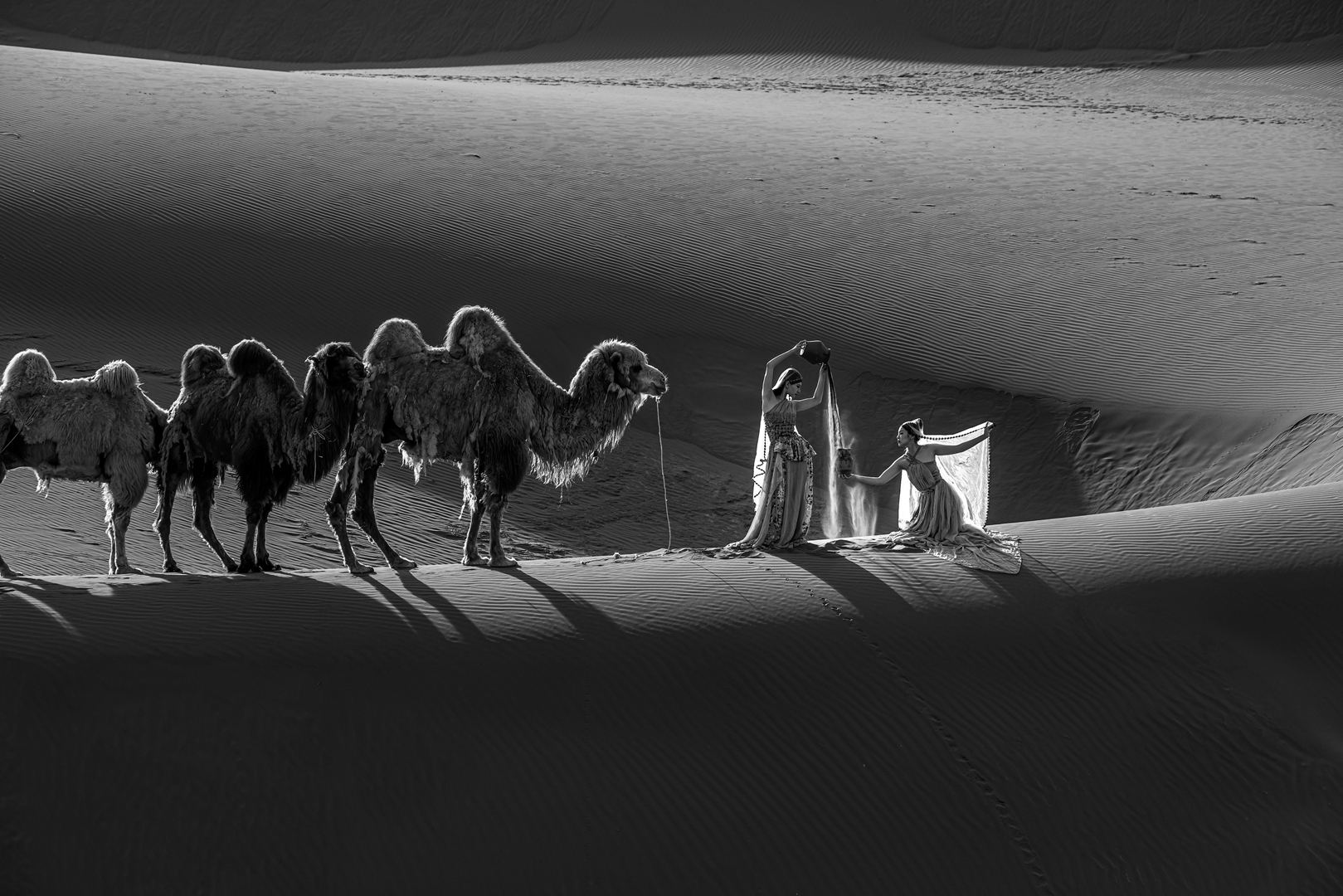 2021塞尔维亚奇迹巡回赛征稿（截稿2021年6月27日）