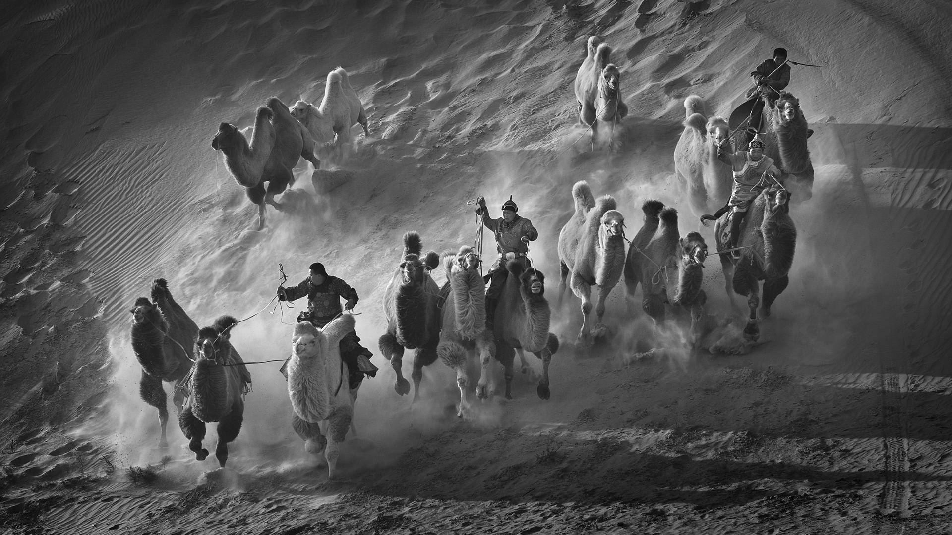 2021年度英国APA第二届国际摄影奖征稿（截稿2021年6月1日-11月30日）