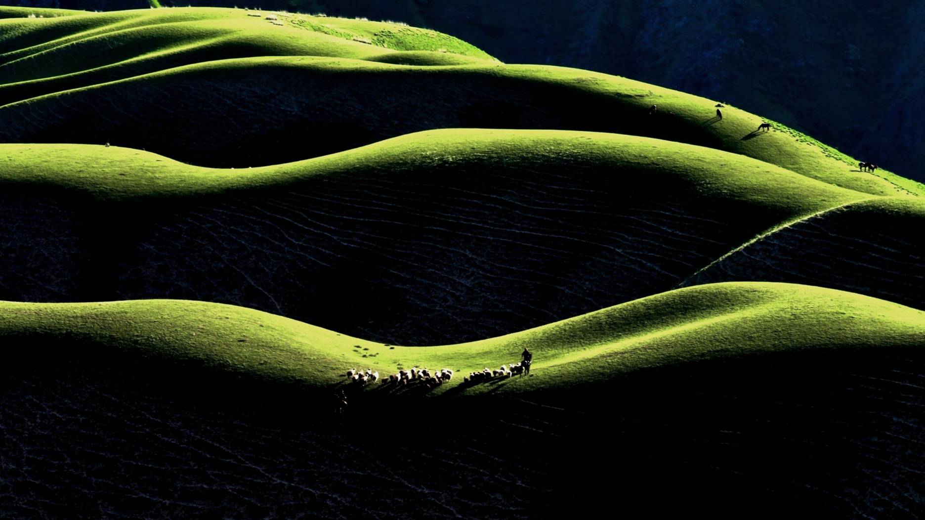 2021“塞保俄白”四国第六届多瑙河数码巡回赛征稿（截稿2021年6月23日）