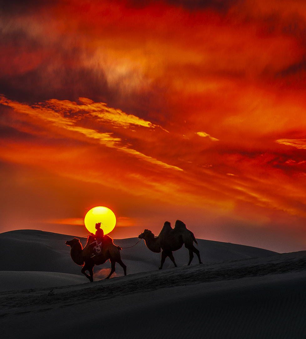 2021德国第四届CEWE摄影奖征稿（截稿2021年5月26日）