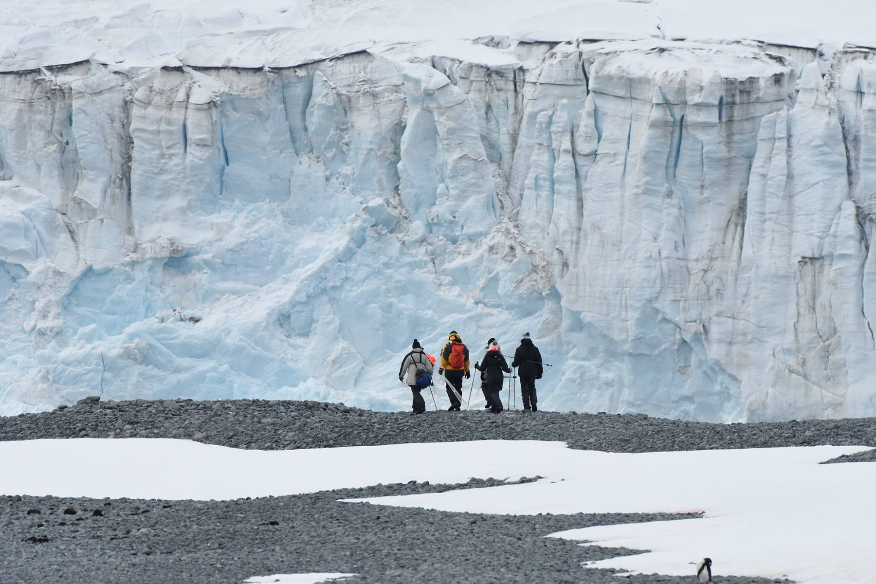 2023-2024南极旅拍团—飞跃德雷克海峡-深度智利20天 产品问答
