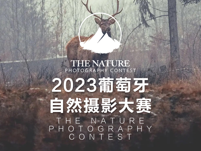 2023葡萄牙自然摄影大赛（截稿2023年11月5日）