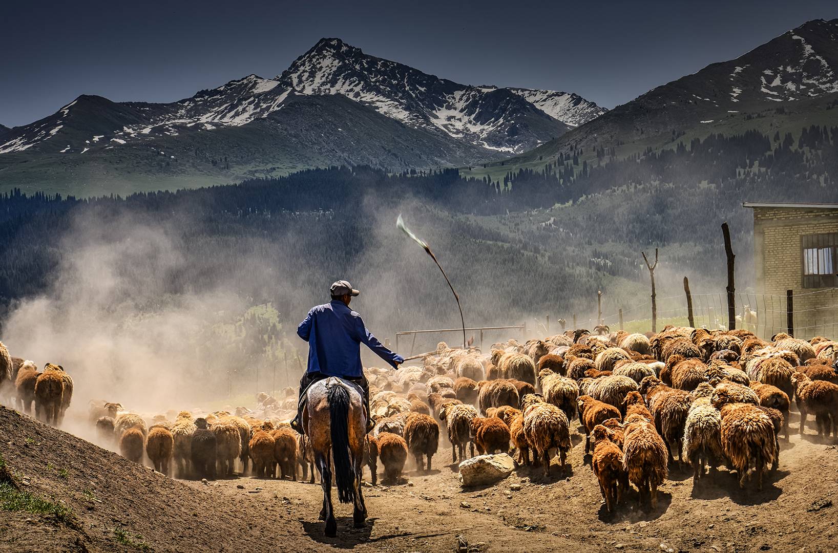 2023美国三藩市华艺国际沙龙摄影大赛（截稿2023年11月16日）