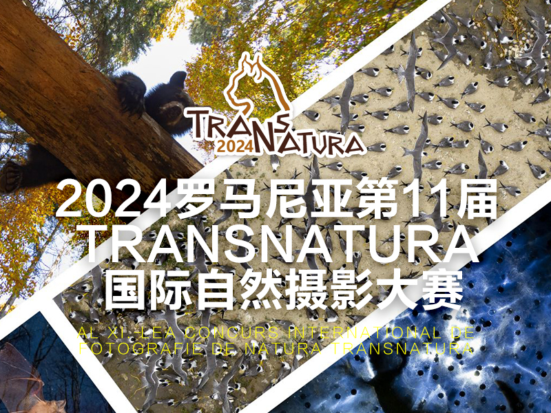 2024罗马尼亚第11届 TransNatura 国际自然摄影大赛（截稿2024年10月28日）