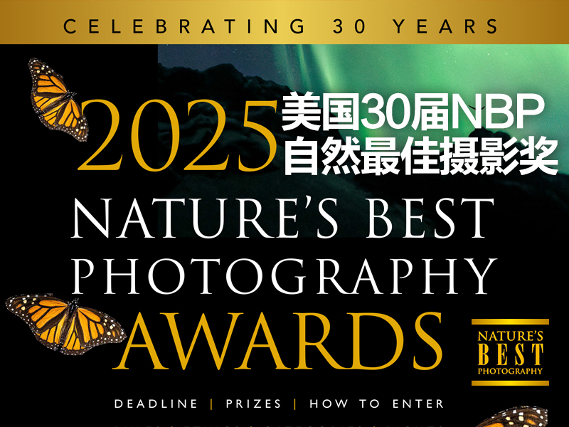 2025美国30届NBP自然最佳摄影奖（截稿2025年3月16日）