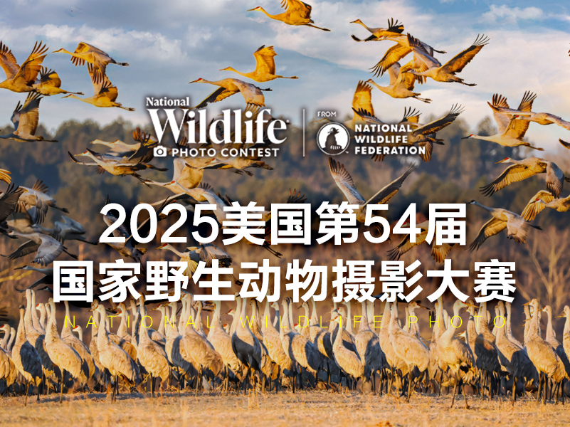 2025美国第54届国家野生动物摄影大赛（截稿2025年3月19日）