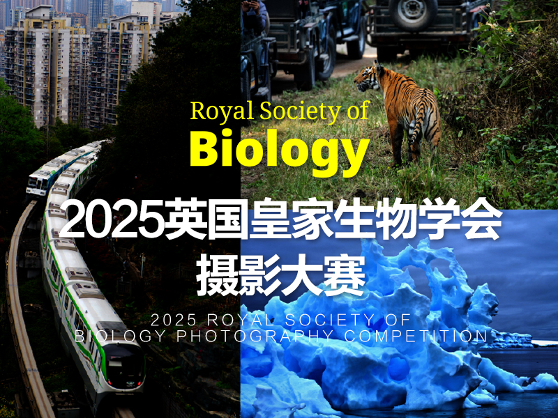 2025英国皇家生物学会摄影大赛（截稿2025年6月11日）