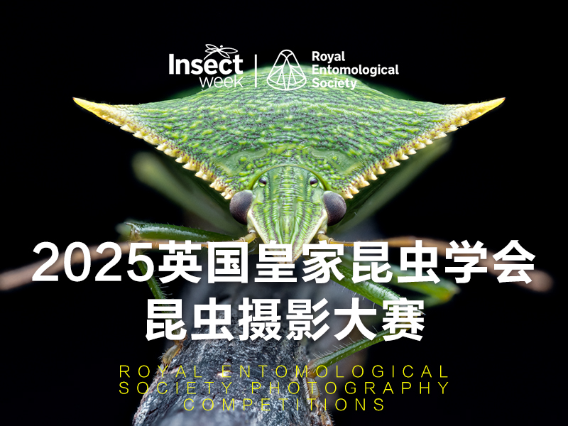 2025英国皇家昆虫学会昆虫摄影大赛（截稿2025年10月27日）