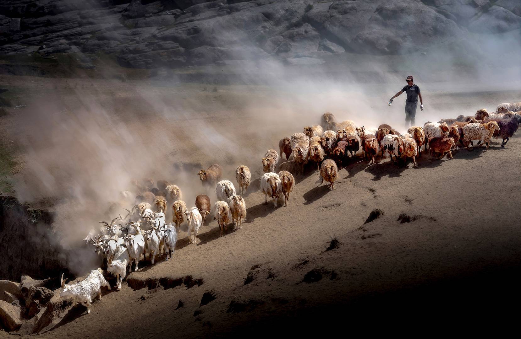 揭晓！2025新加坡CHRYSALIS国际摄影沙龙巡回赛，刘志平摘金