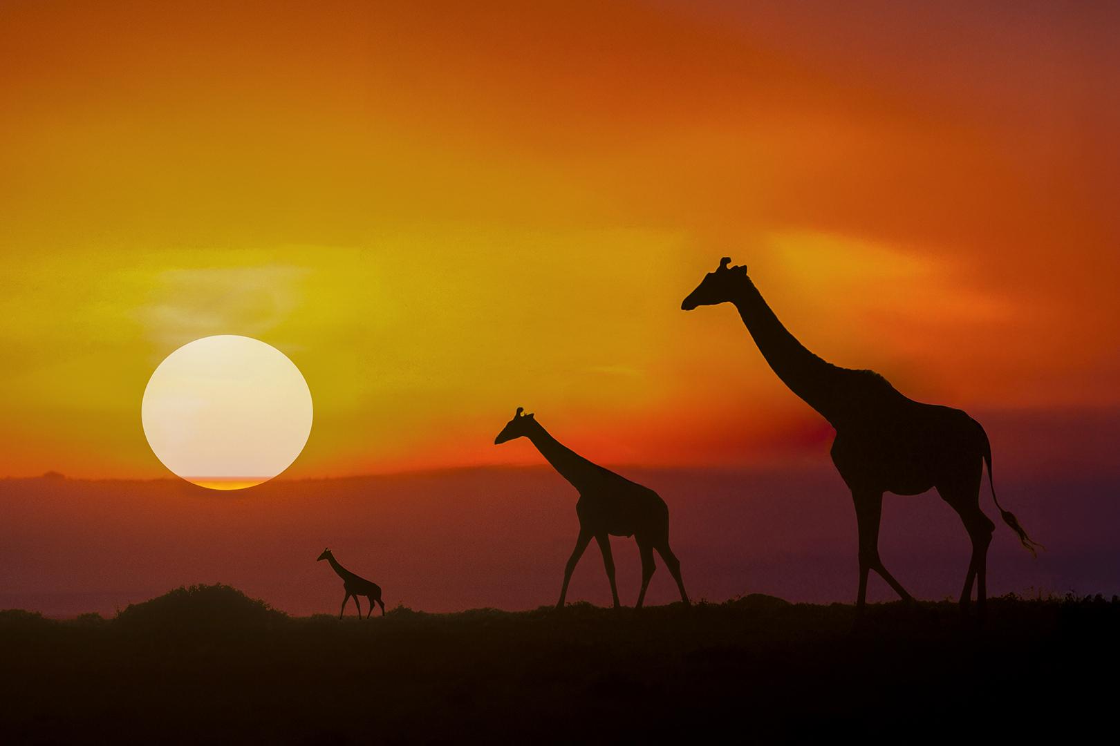 揭晓！2026艺术天堂国际摄影巡回赛，LING JYI CHAO、季雨等摘金