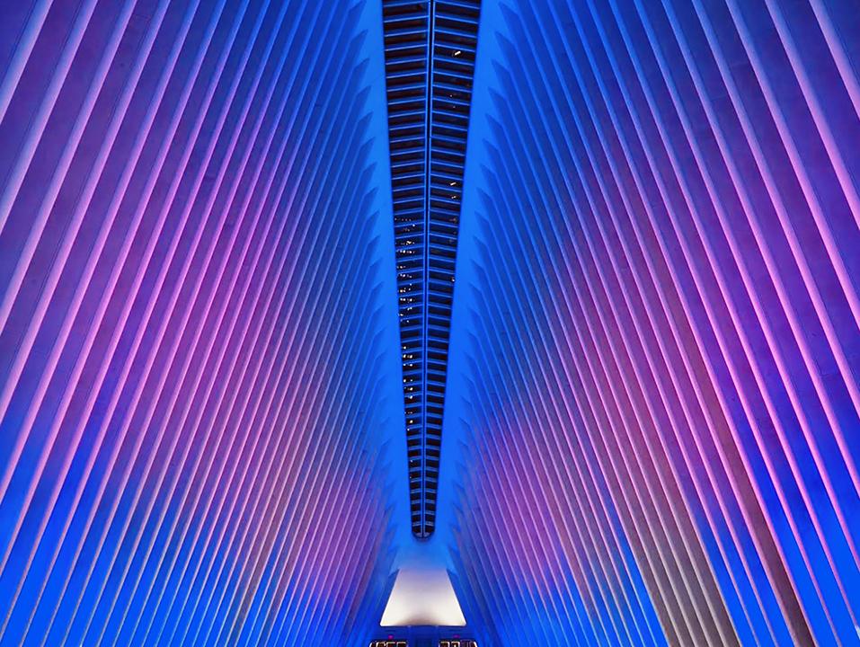 2025年度WPU国际摄影十杰积分公示