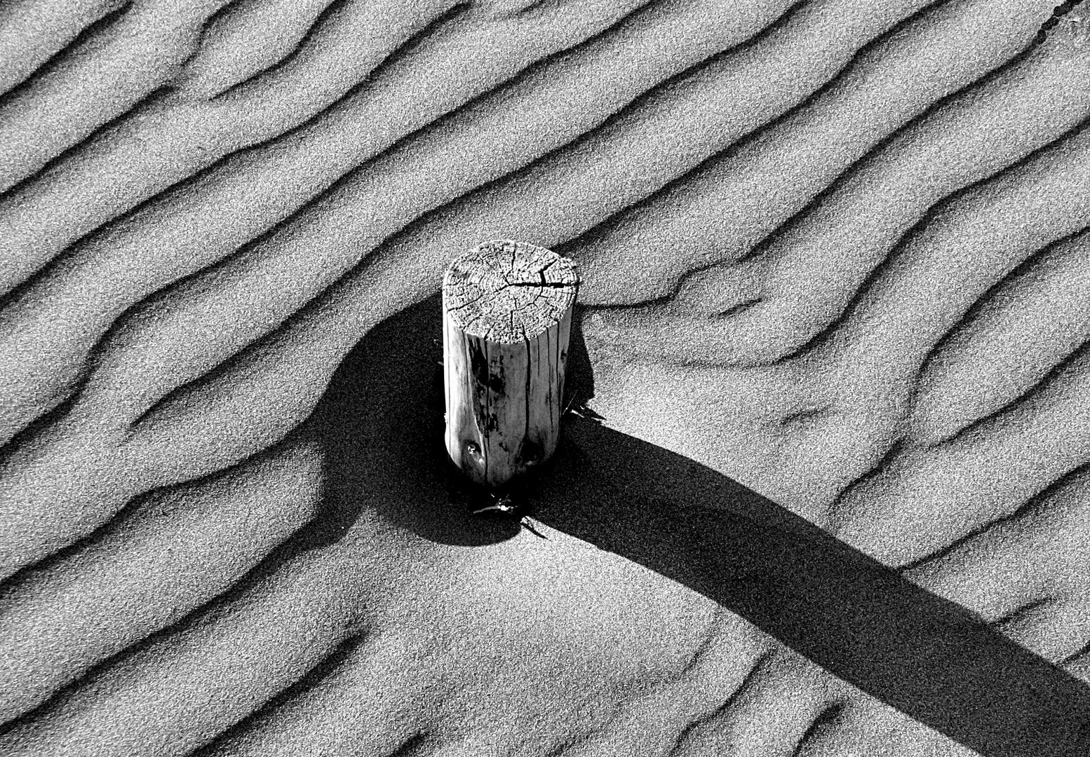 揭晓！2026第六届东方龙全球摄影巡回赛，LING JYI CHAO、季雨等摘金