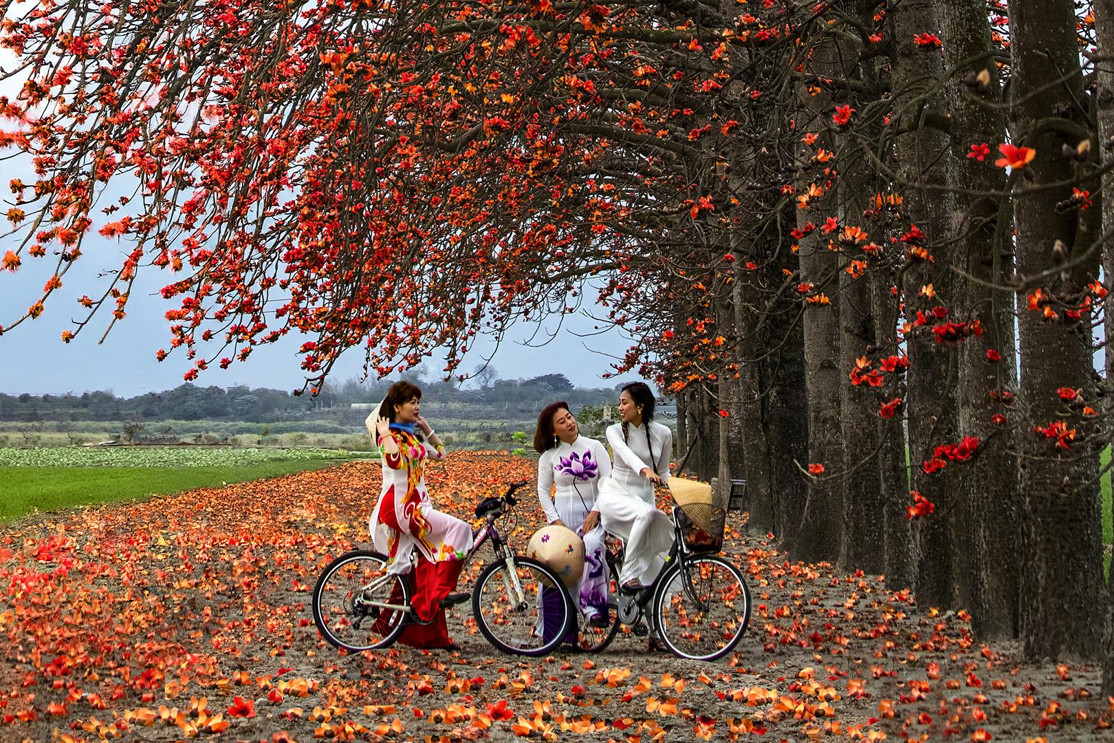 揭晓！2026春节国际摄影巡回赛，LING JYI CHAO、季雨等摘金